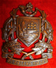 St. Helena Rifles scarce OSD Bronze die cast Cap Badge circa 1914-46  